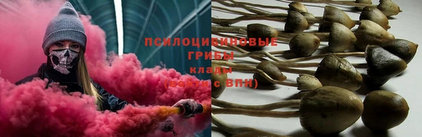 прущая мука Надым