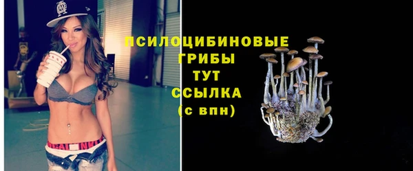 прущие грибы Наволоки