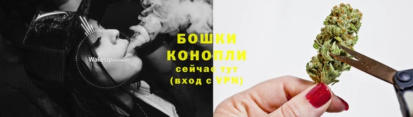 спиды Нея
