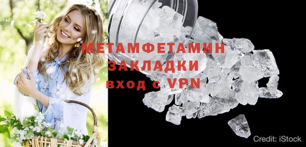 прущие грибы Наволоки