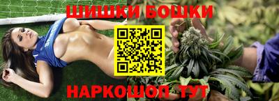 МДПВ Тулун