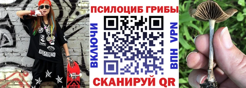 Псилоцибиновые грибы мухоморы  наркота  Удомля 