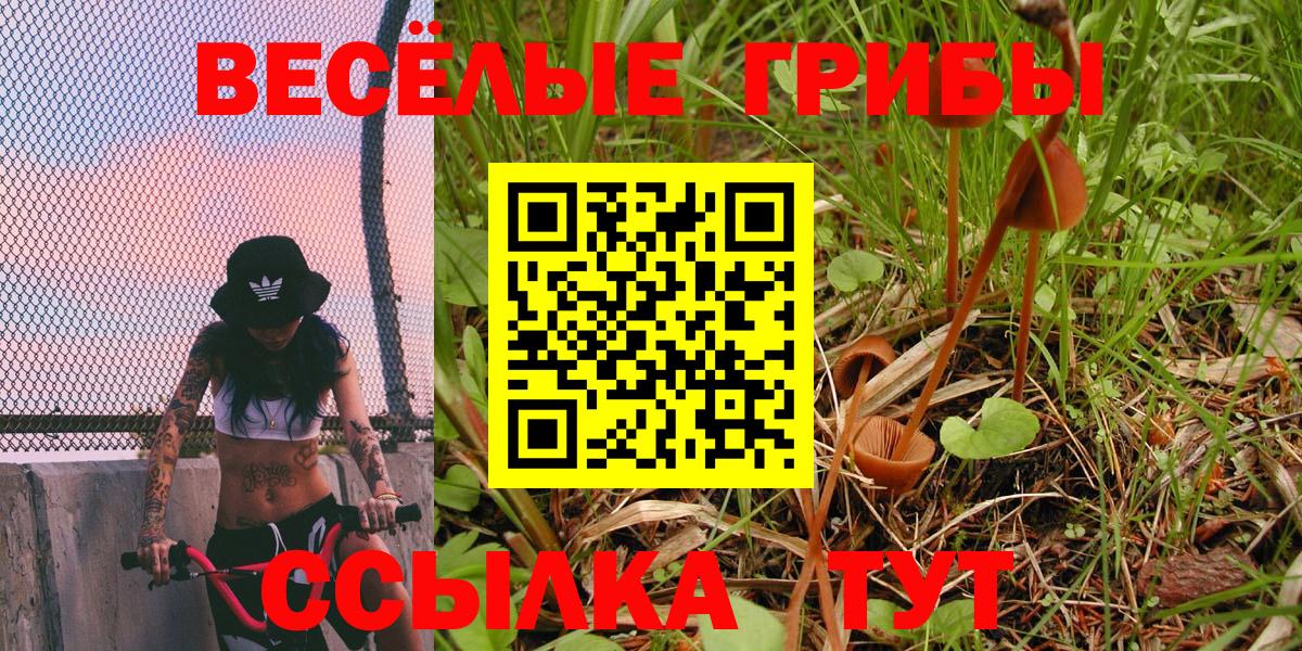 Удомля  Псилоцибиновые грибы Cubensis  Галлюциногенные грибы MAGIC MUSHROOMS  Вход с VPN 